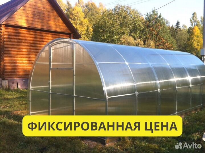 Теплица для выращивания помидор