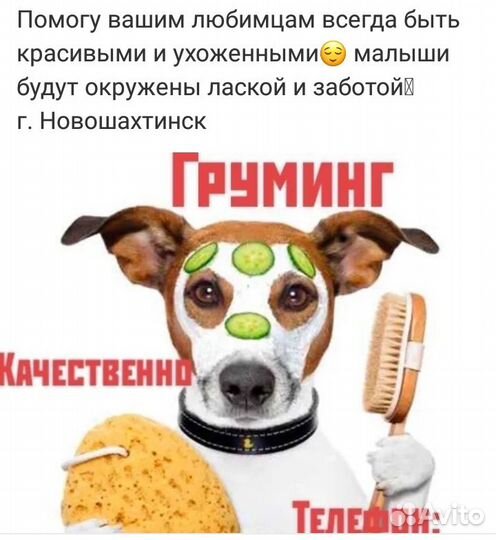 Услуги грумера (стрижка собак)