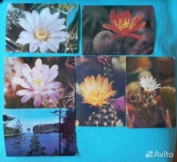 Открытки СССР