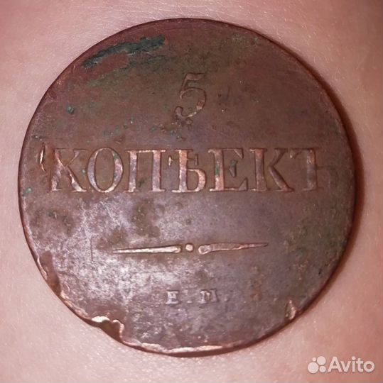 5 коп 