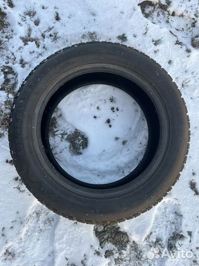 Tigar Ice 205/55 R16 94T