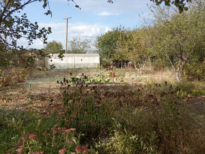 Дача 17 м² на участке 6 сот.