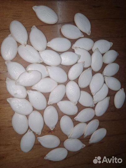 Семена тыкв россиянка и крошка