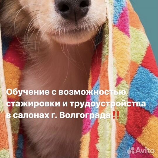 Курс по грумингу