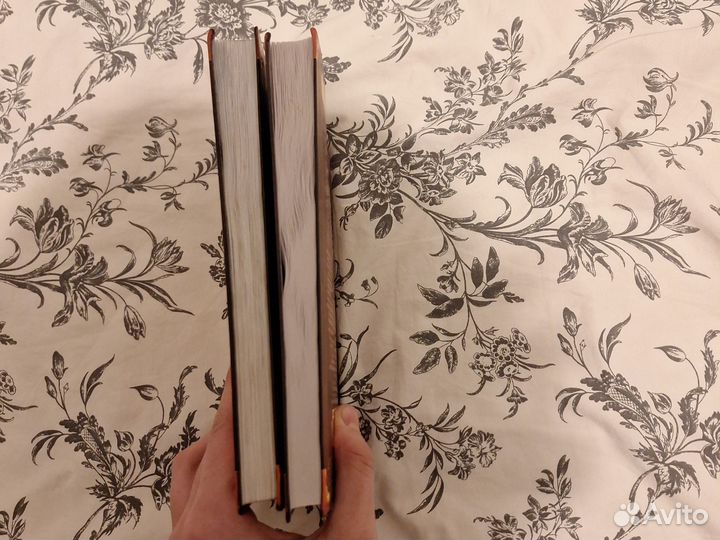 Коты воители книги. 