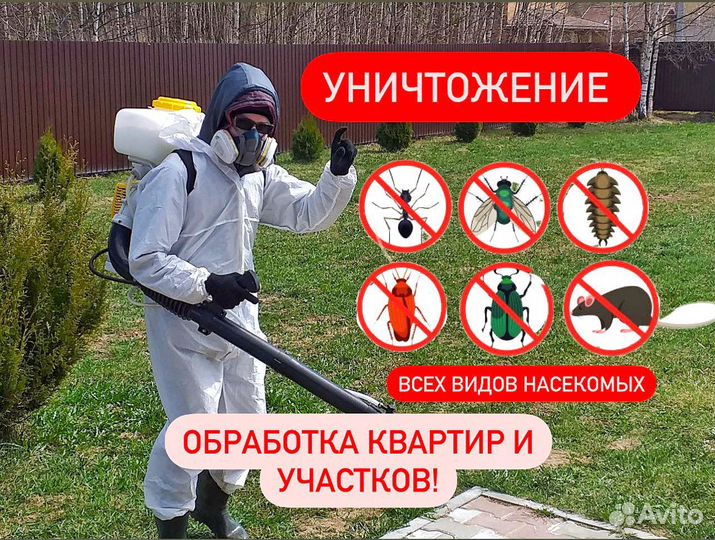 Обработка Клопы Тараканы Клещи Шершни Комары Осы