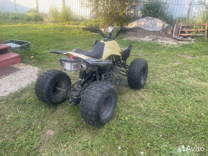 Рысь 110