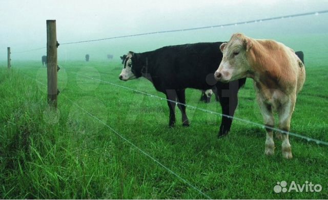 Электропастухи и комплектующие в ассортименте