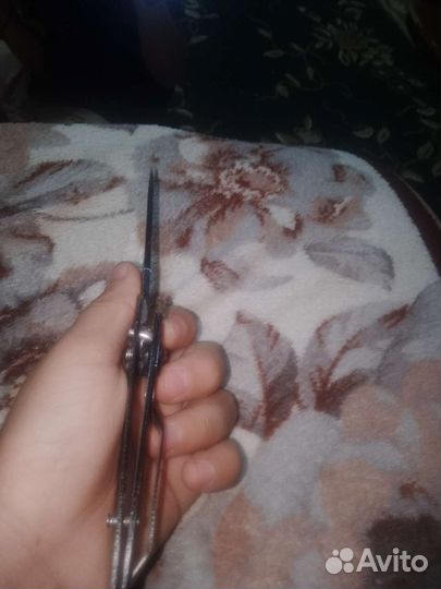 Раскладушка