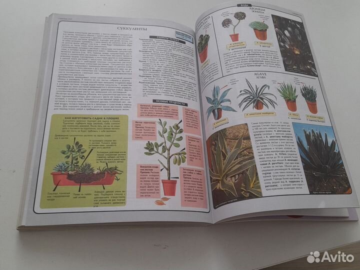 Всё о комнатных растениях Д.Г. Хессайон