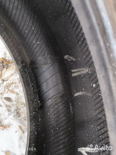 Белшина Artmotion Snow Бел-307 195/60 R15 88H