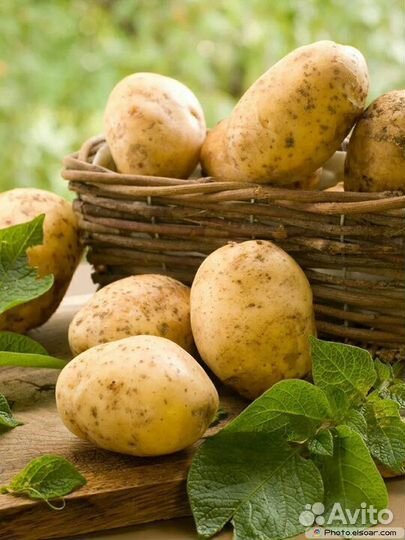 Коробка сюрприз