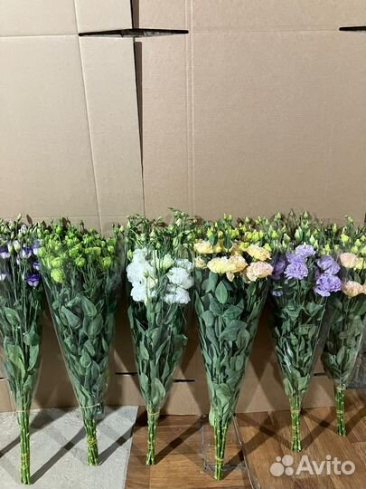 Живые цветы оптом