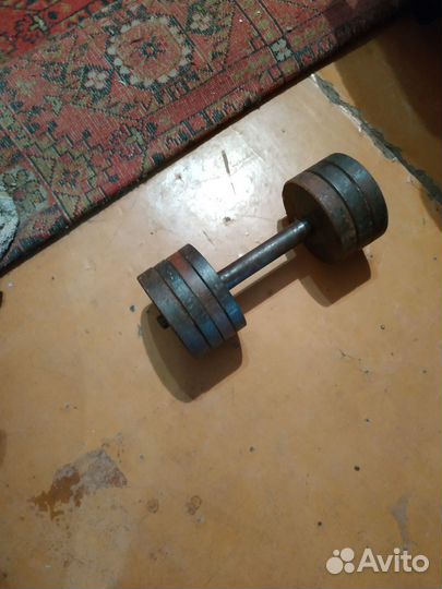 Гантеля 10 кг