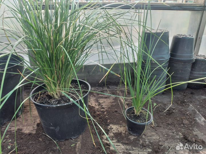 Навоз крс,смесь,чернозем урожайный,доставка,от 1т