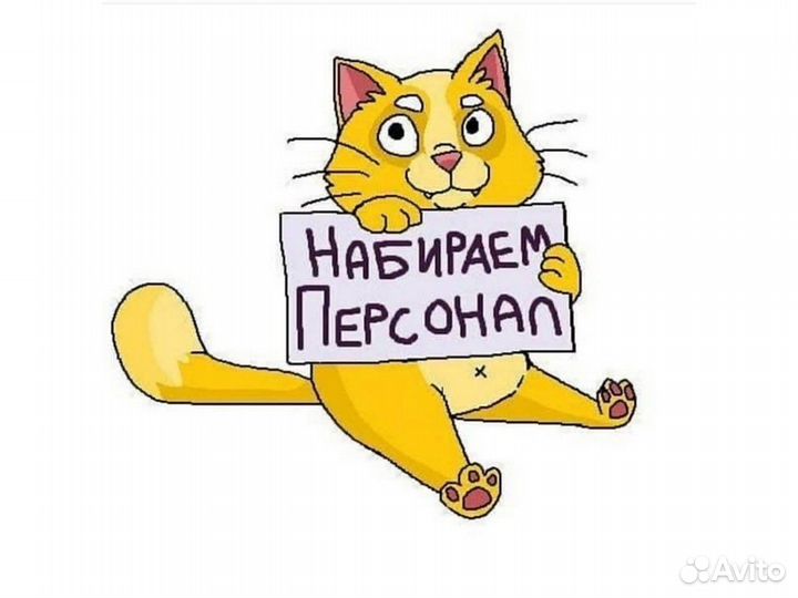 Требуется Официант Проживание /Еда /Хор.Усл