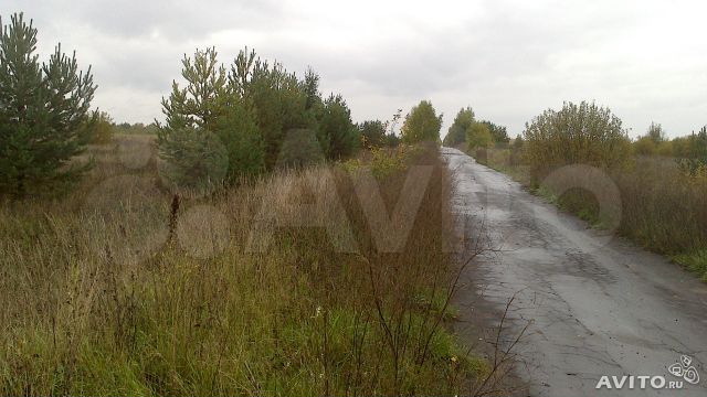 Участок 40 сот. (СНТ, ДНП)