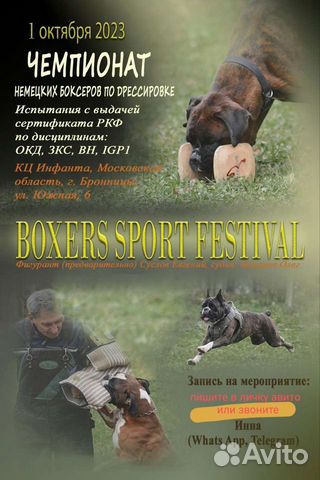 Спортивный фестиваль немецких боксёров объявление продам