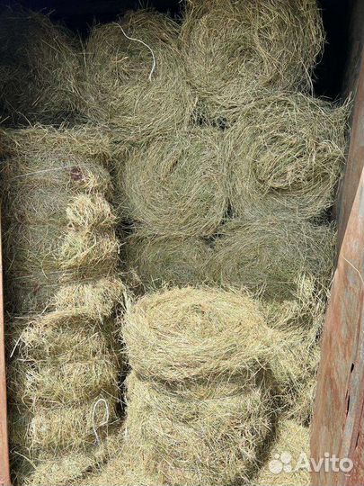 Продам сено в рулонах