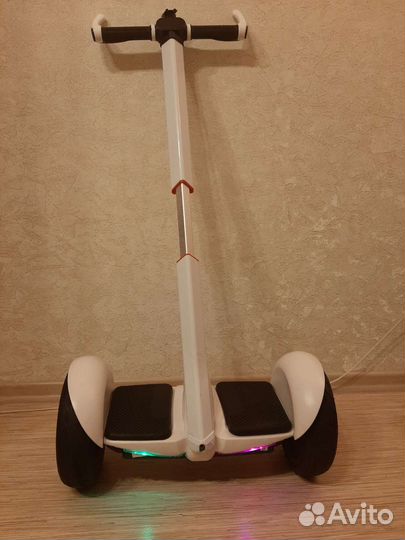 Сигвей новый