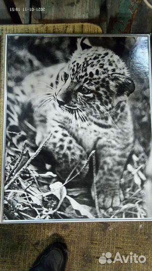 Картины СССР