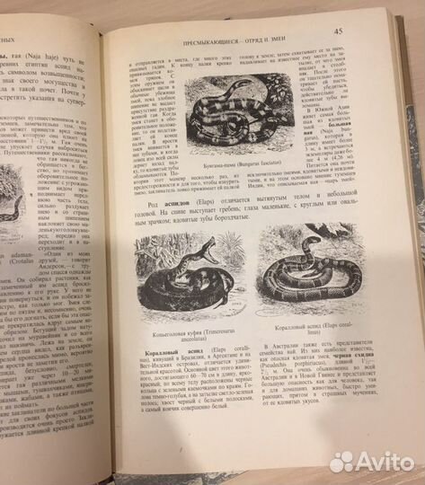 А.Э.Брэм Жизнь животных 3 Тома