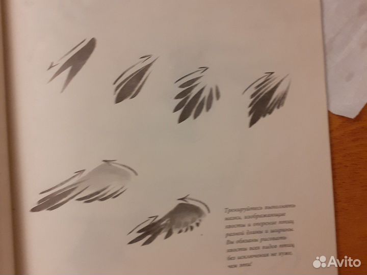 Суми-Ё техника японской живописи