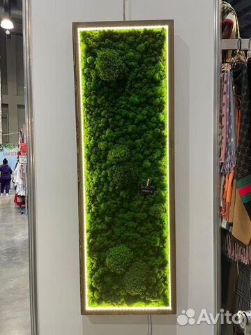 Картина из мха