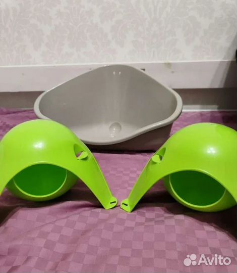 Крысы сфинксы