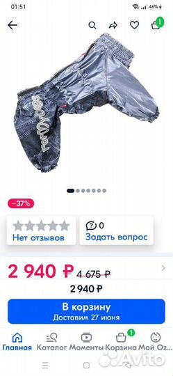 Дождевик для собак породы мопс