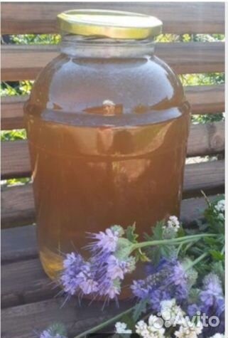 Мёд