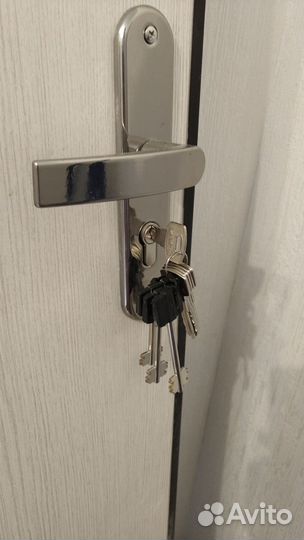 Дверь входная металлическая