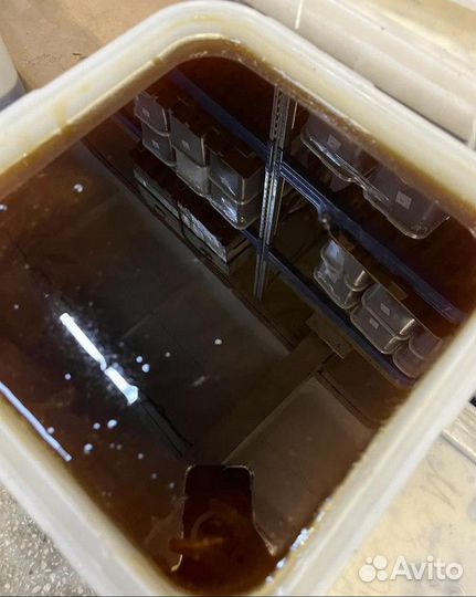 Мёд свежий оптом. Разнотравье темное, качка 2023г