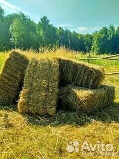 Сено в тюках 2023