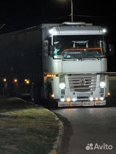 Renault Magnum, 2003