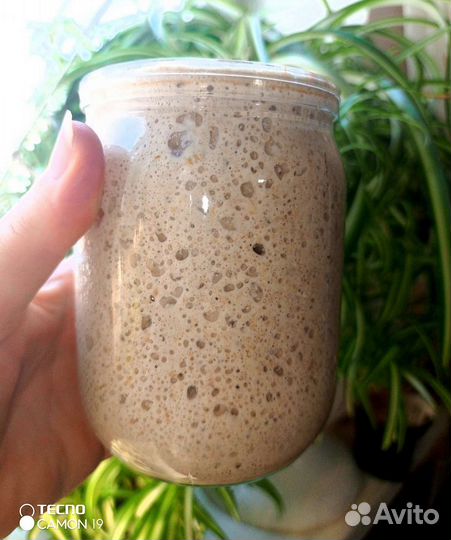 Закваска для хлеба