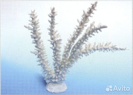 Коралл пластиковый белый 34х7х28,5см (SH017W) Vita