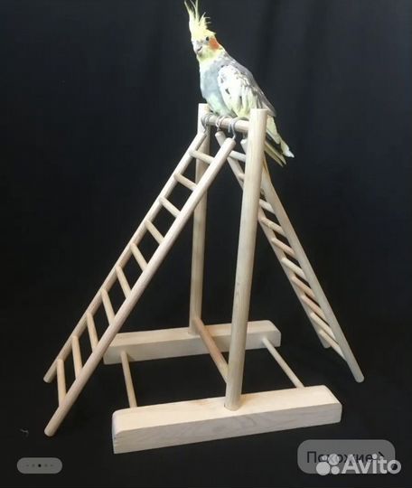Лесенка для птиц