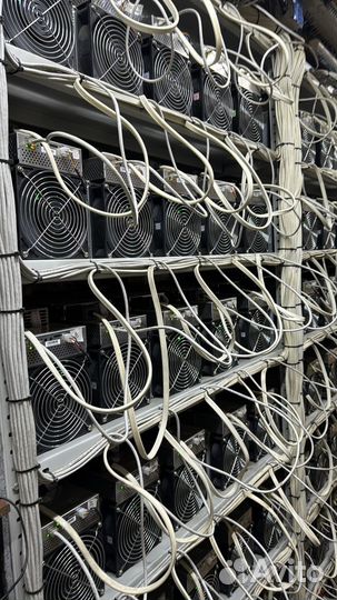 Майнинг отель / хостинг / цод