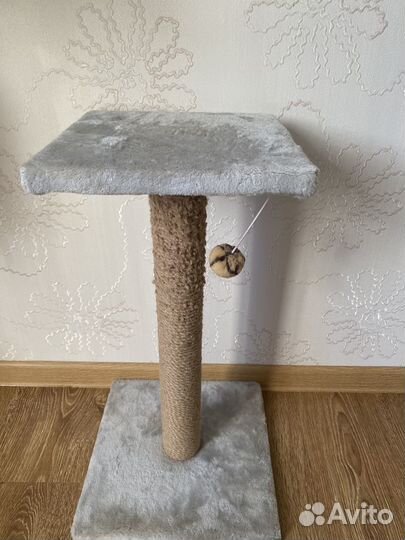 Когтеточка для кошек бу