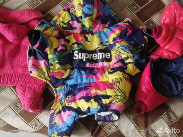 Одежда для не больших собачек