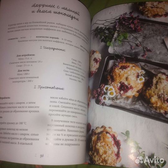 Динара Снижевская,Ягодное настроение