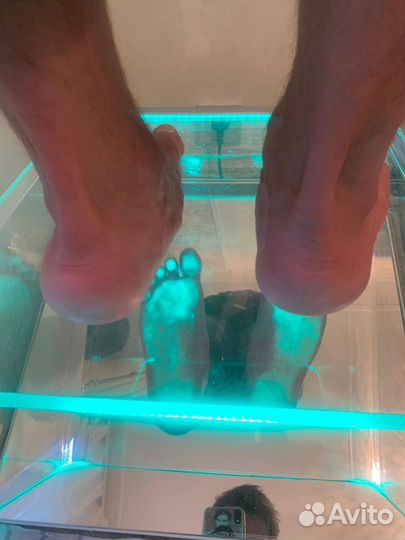 Услуги подолога