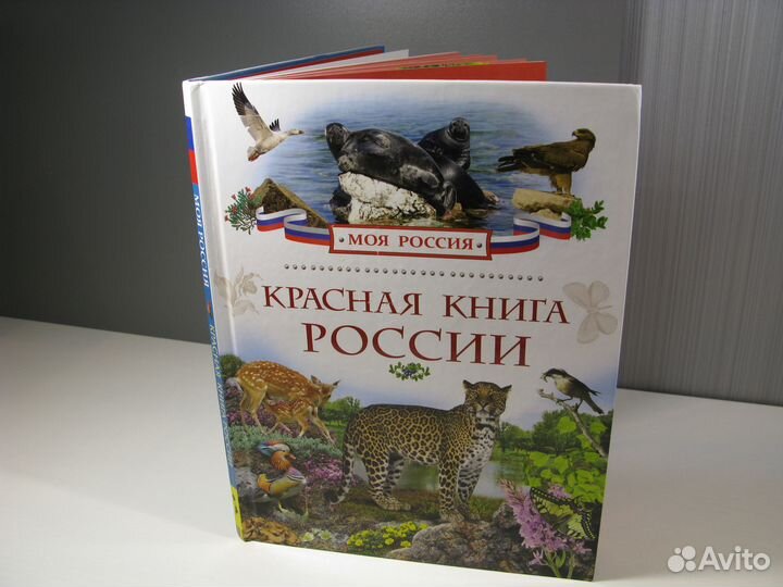 Книга о живой природе России