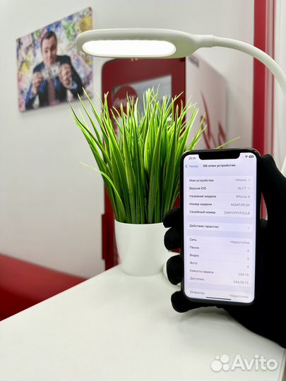 iPhone X, 256 ГБ