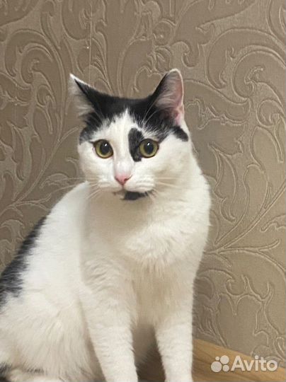 Через неделю на улицу