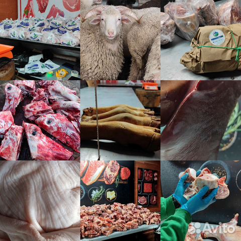 Мясо на Садака,Хьакъикат