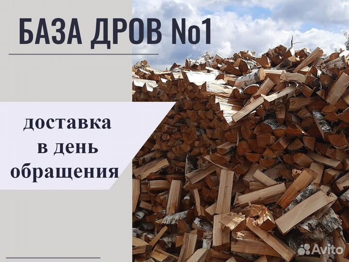 Дрова осина