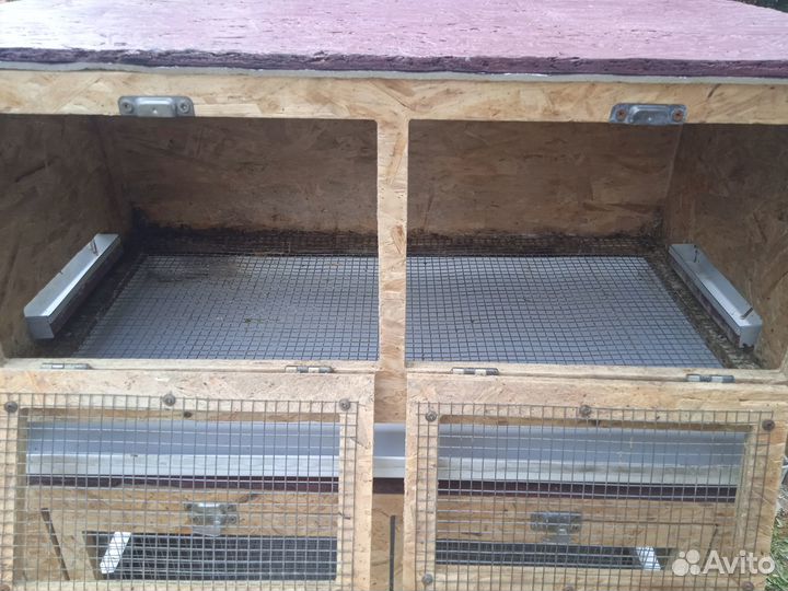 Брудер для цыплят