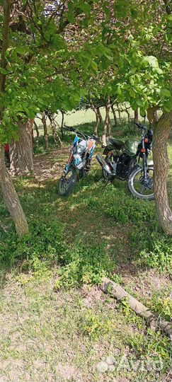 Продаю питбайк